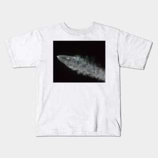 SpaceX Iridium Flight 4 Kids T-Shirt